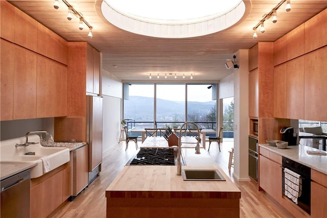 kitchen featuring a mountain view, light hardwood / wood-style flooring, and track lighting