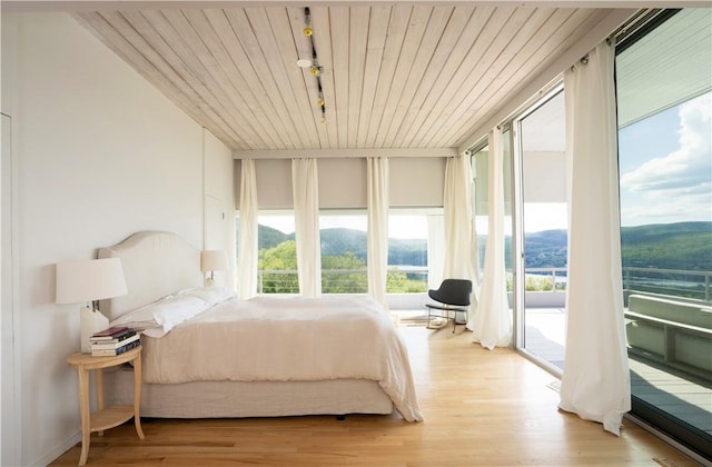 bedroom featuring multiple windows, a mountain view, light hardwood / wood-style floors, and access to exterior