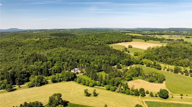 drone / aerial view with a rural view