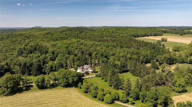 birds eye view of property with a rural view