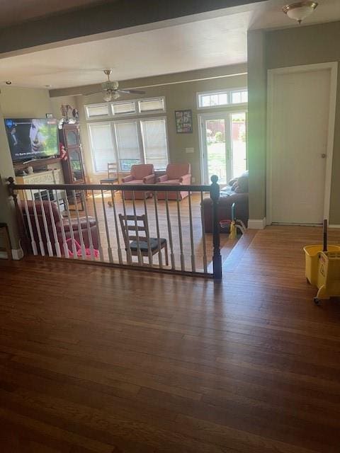 dining room featuring ceiling fan and hardwood / wood-style floors