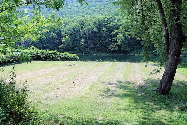 view of yard featuring a water view