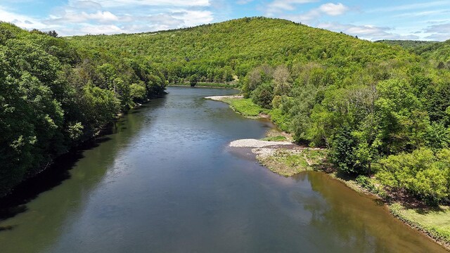 10 Ferry St, Fremont Center, NY 12736 - drone / aerial view of a forest