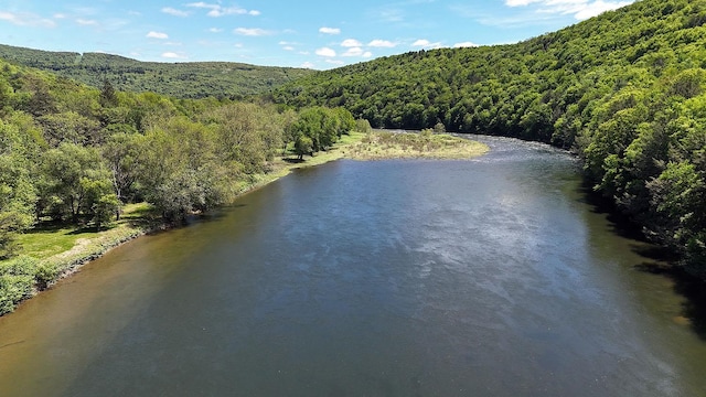 10 Ferry St, Fremont Center, NY 12736 - water view featuring a forest