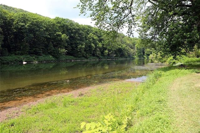 10 Ferry St, Fremont Center, NY 12736 - water view featuring a heavily wooded area