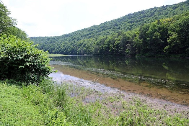 10 Ferry St, Fremont Center, NY 12736 - water view with a heavily wooded area