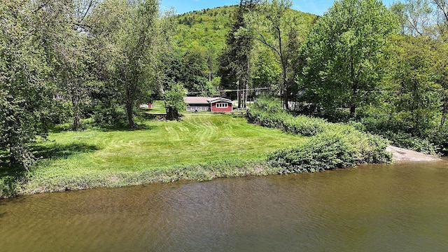 10 Ferry St, Fremont Center, NY 12736 - water view