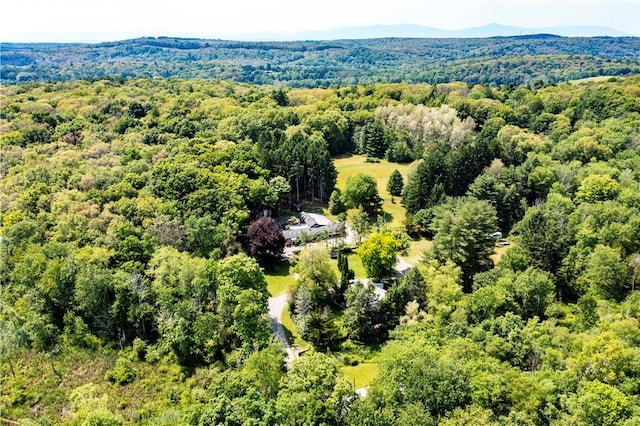 aerial view featuring a mountain view