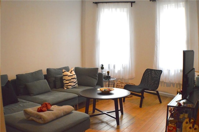 living room with hardwood / wood-style floors