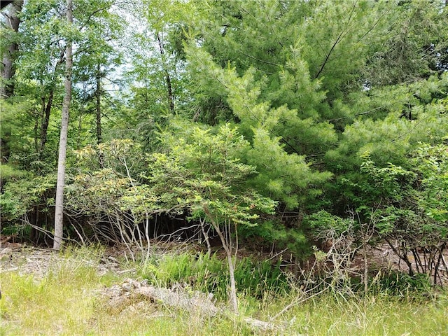 Brady Ave, Smallwood, NY 12778 - photo 1