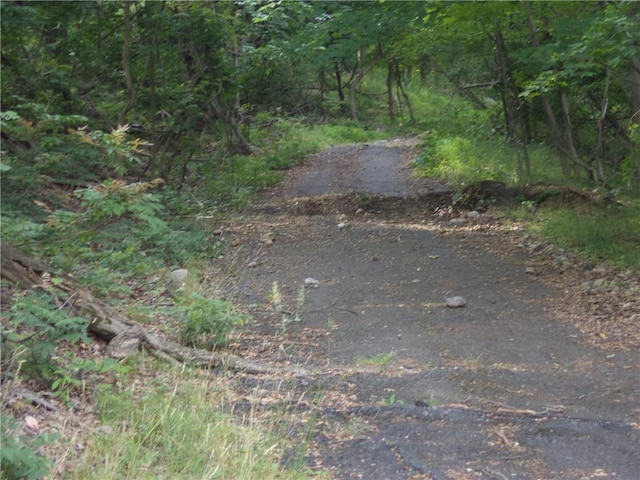 50 Blanchard Rd, Stony Point, NY 10980 - photo 5