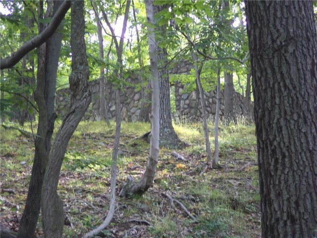 50 Blanchard Rd, Stony Point, NY 10980 - photo 6