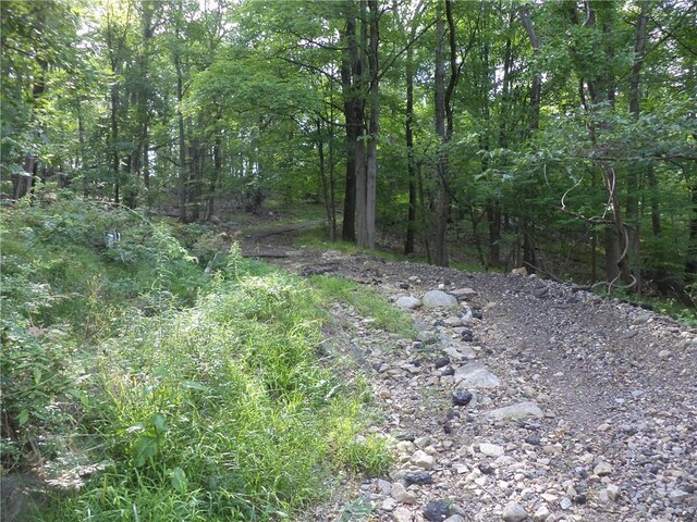 50 Blanchard Rd, Stony Point, NY 10980 - photo 8