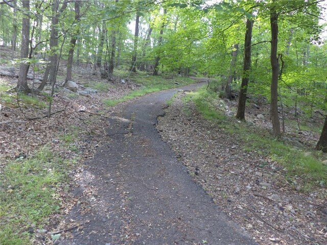 50 Blanchard Rd, Stony Point, NY 10980 - photo 9