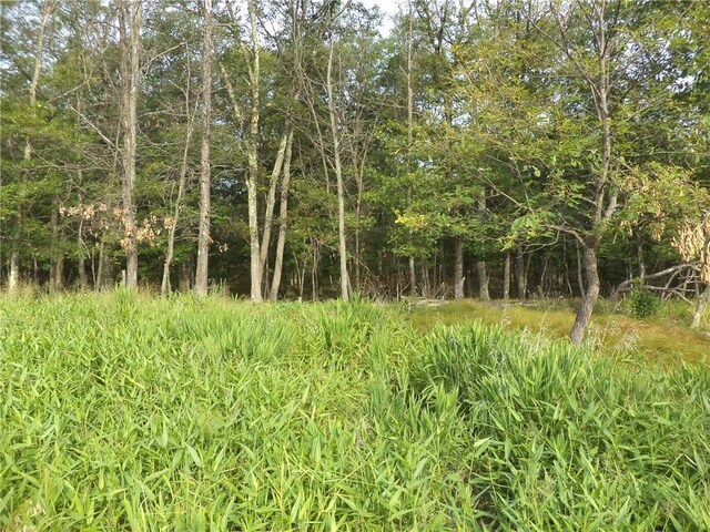 50 Blanchard Rd, Stony Point, NY 10980 - photo 12