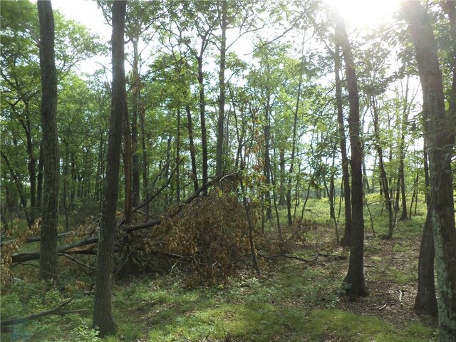 50 Blanchard Rd, Stony Point, NY 10980 - photo 13