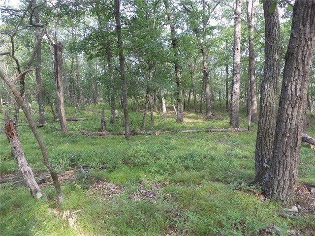 50 Blanchard Rd, Stony Point, NY 10980 - photo 14