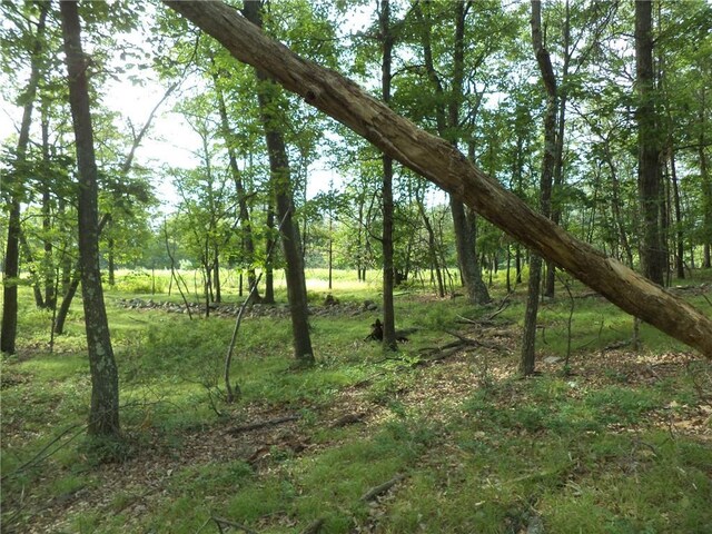50 Blanchard Rd, Stony Point, NY 10980 - photo 15