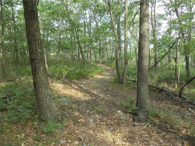 50 Blanchard Rd, Stony Point, NY 10980 - photo 16