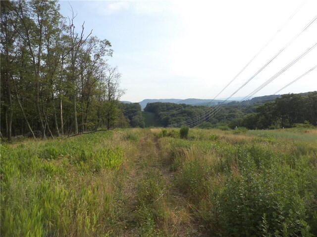 50 Blanchard Rd, Stony Point, NY 10980 - photo 18