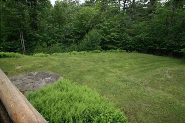 420 Woodstone Trl, White Lake, NY 12720 - photo 19
