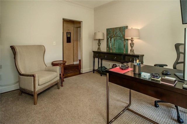 office space featuring carpet flooring and crown molding