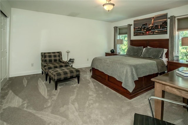 view of carpeted bedroom