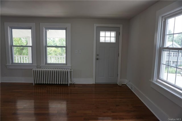 entryway with a wealth of natural light, dark hardwood / wood-style floors, and radiator