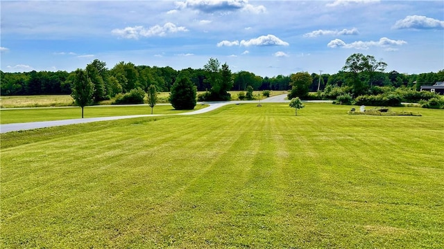 view of home's community featuring a yard