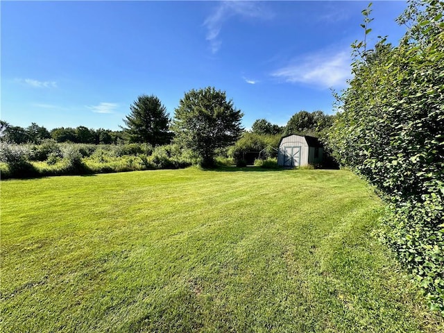 view of yard with a shed