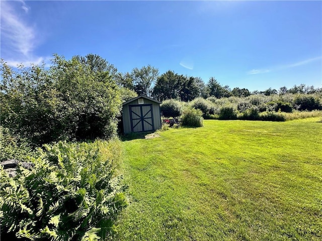 view of yard featuring a storage unit