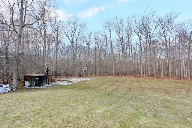 view of yard featuring basketball hoop