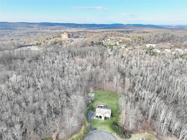 bird's eye view with a mountain view