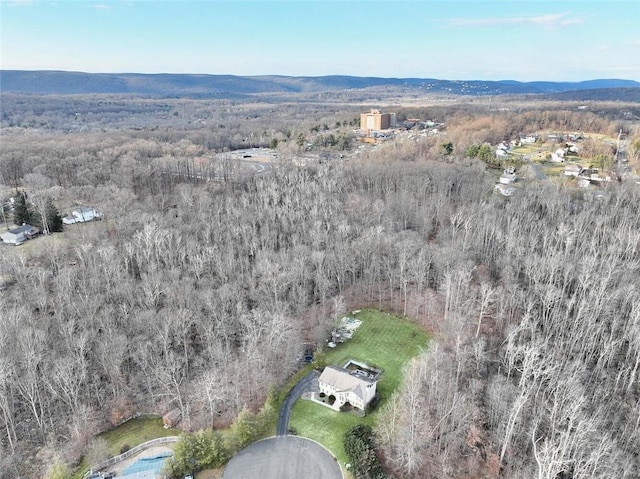 birds eye view of property with a mountain view