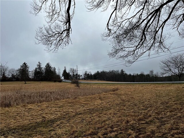 view of yard with a rural view