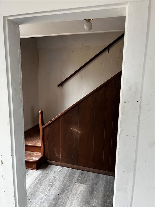 stairway featuring hardwood / wood-style floors and wood walls