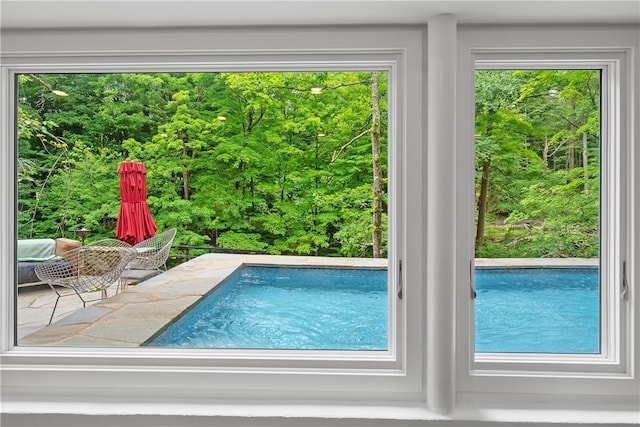 view of swimming pool featuring a patio area