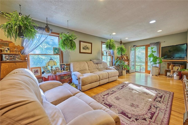 living room with hardwood / wood-style floors and a textured ceiling