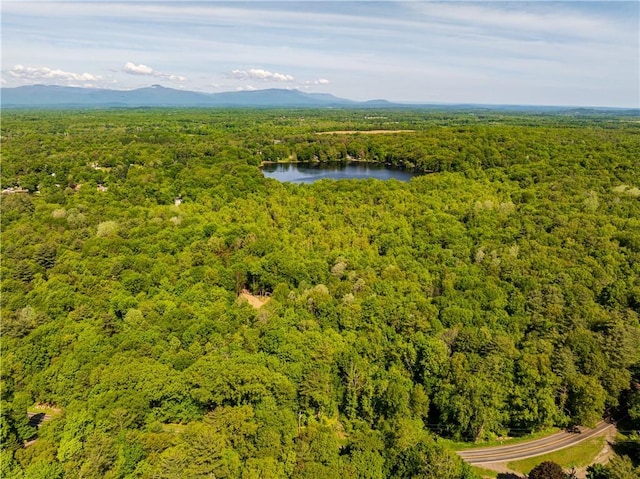 15 Snyderville, Elizaville, NY 12523