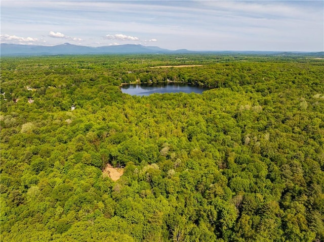 15 Snyderville, Elizaville, NY 12523