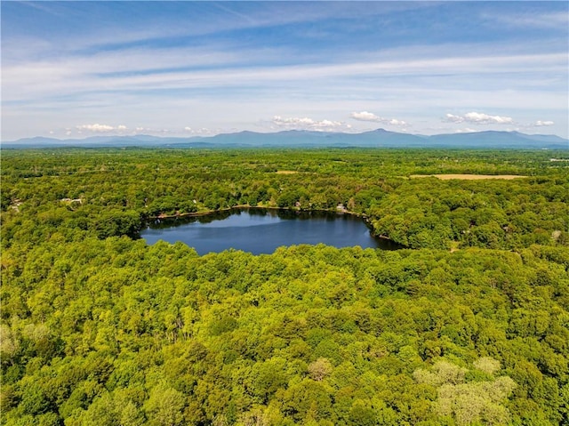 15 Snyderville, Elizaville, NY 12523