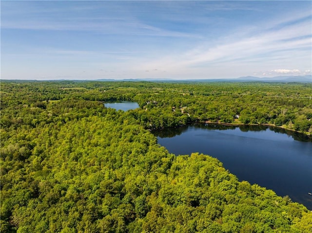 15 Snyderville, Elizaville, NY 12523