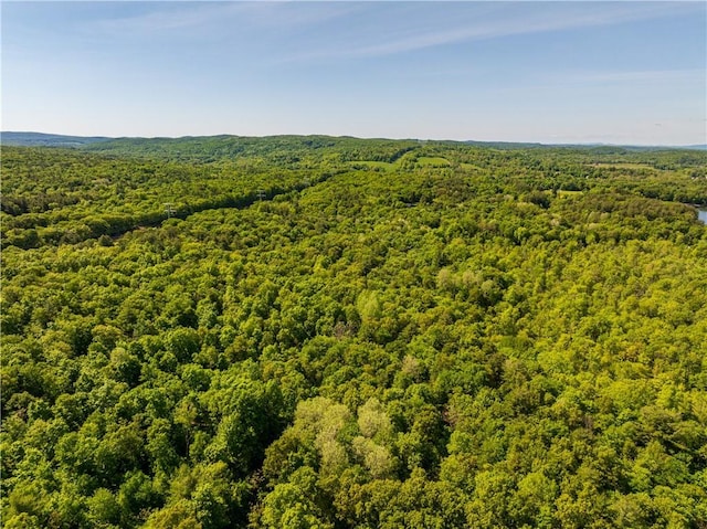 15 Snyderville, Elizaville, NY 12523