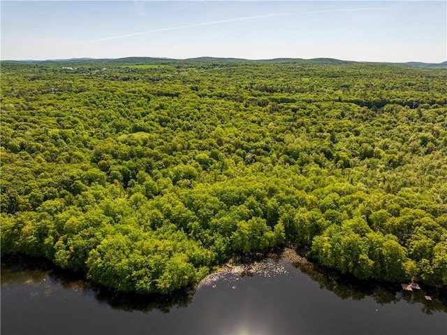 15 Snyderville, Elizaville, NY 12523