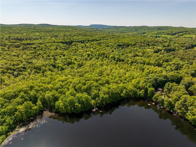 15 Snyderville, Elizaville, NY 12523
