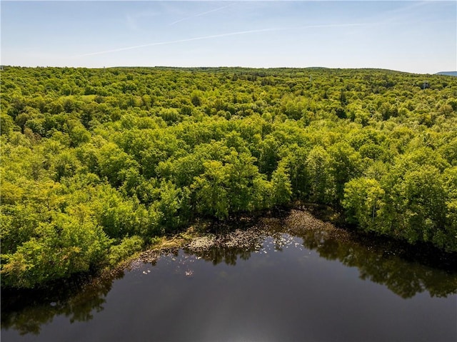 15 Snyderville, Elizaville, NY 12523