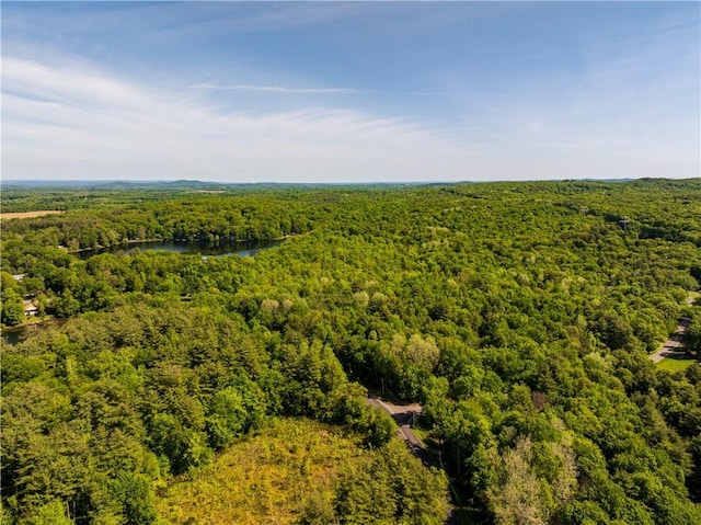 15 Snyderville, Elizaville, NY 12523