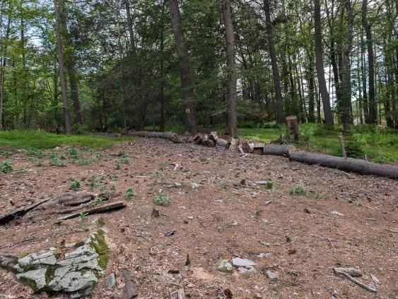 Eldred-Yulan Rd, Call Listing Agent, NY 12792 - photo 1