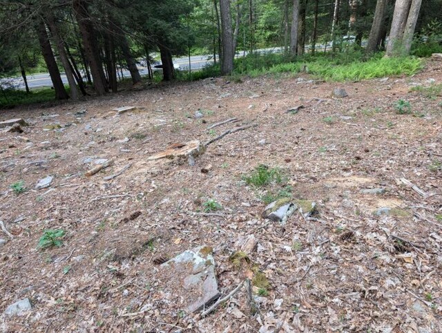 Eldred-Yulan Rd, Call Listing Agent, NY 12792 - photo 3
