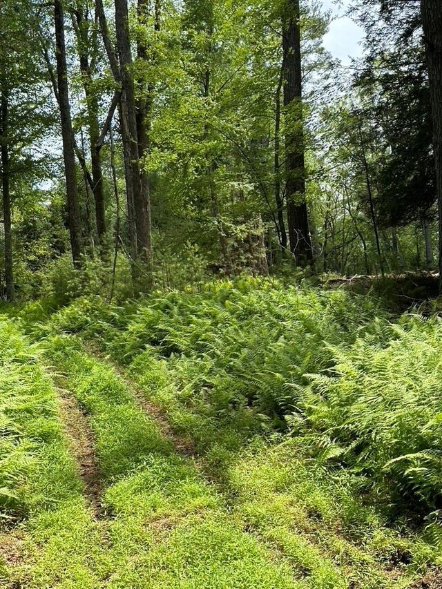 Eldred-Yulan Rd, Call Listing Agent, NY 12792 - photo 6